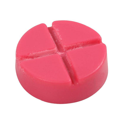 Love Potion Soy Wax Melt Snap Disc - Crystal Nest
