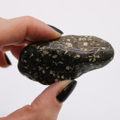 Guinea Fowl Tumblestone - Large - Crystal Nest