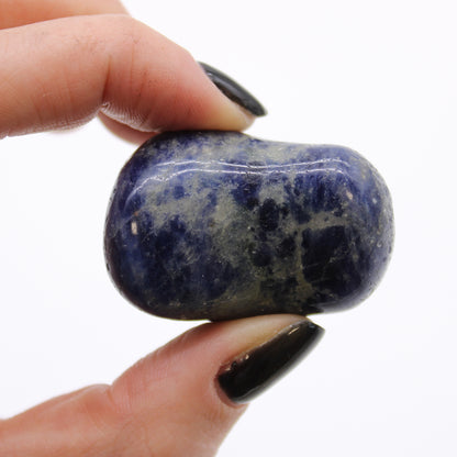 Sodalite Tumblestone - Large - Crystal Nest