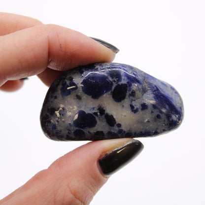 Sodalite Tumblestone - Medium - Crystal Nest