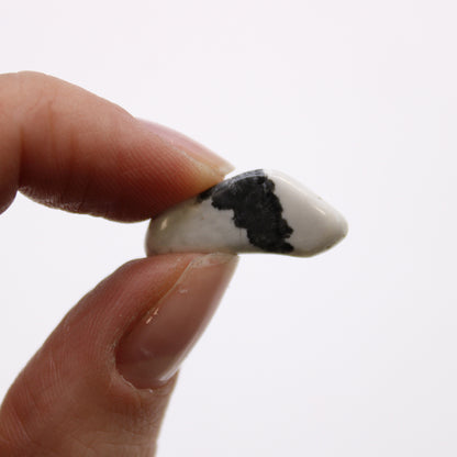 White Howlite Tumblestonne - Small - Crystal Nest