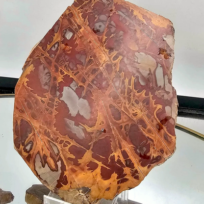 Noreena Jasper Crystal Slice | 250–300g - Crystal Nest