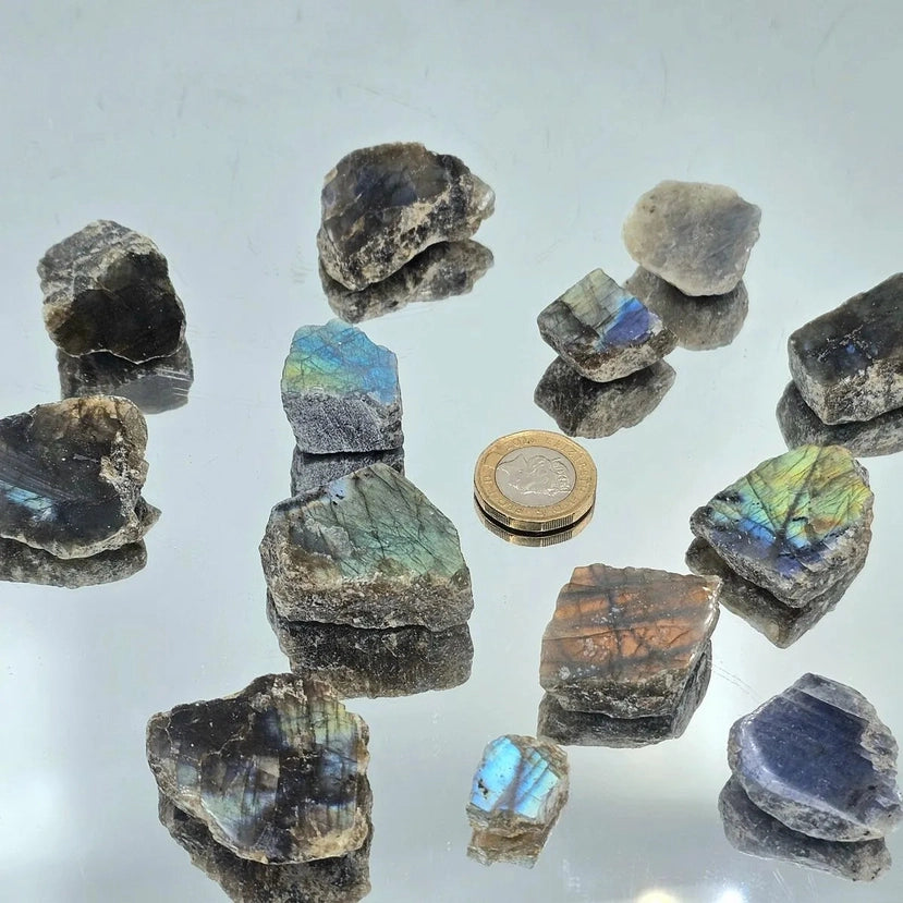 Labradorite Mini Crystal Slices - Crystal Nest