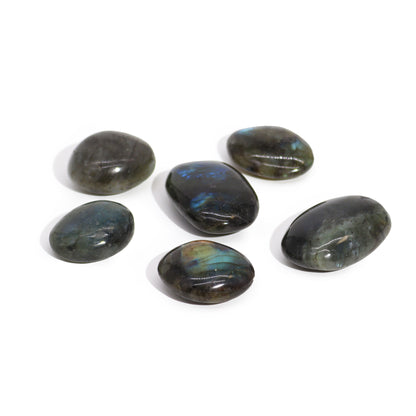 Labradorite Polished Palm Stone - Crystal Nest