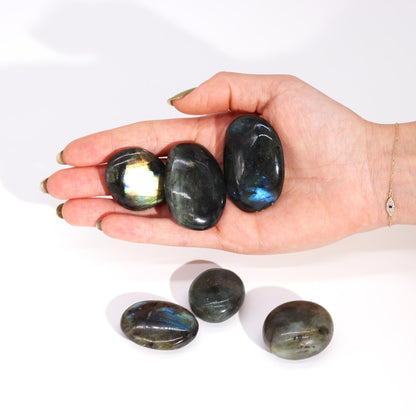 Labradorite Polished Palm Stone - Crystal Nest