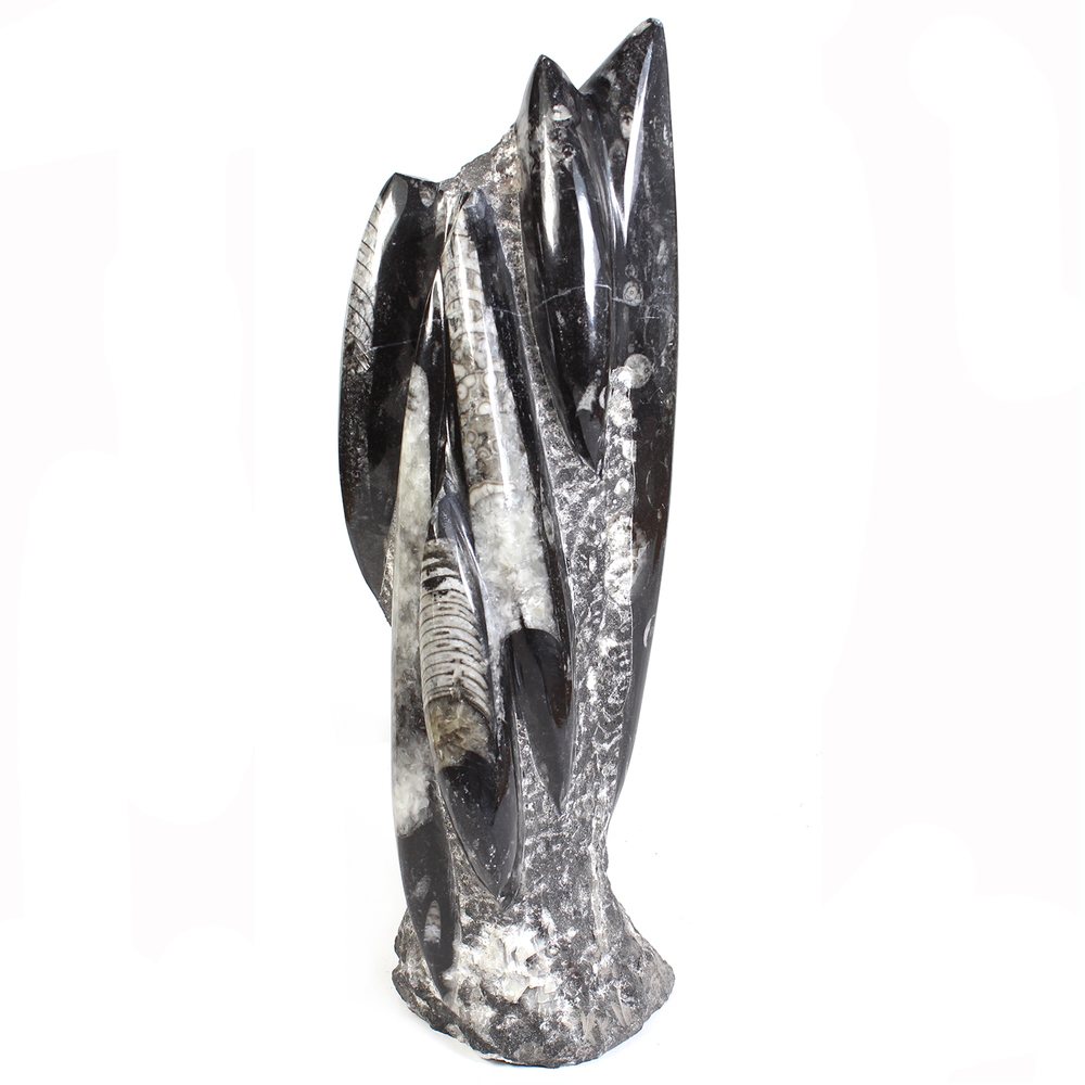 Orthoceras Fossil Tower Sculpture
