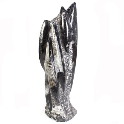 Orthoceras Fossil Tower Sculpture