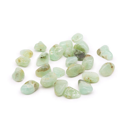 Prehnite Tumblestone - Medium - Crystal Nest